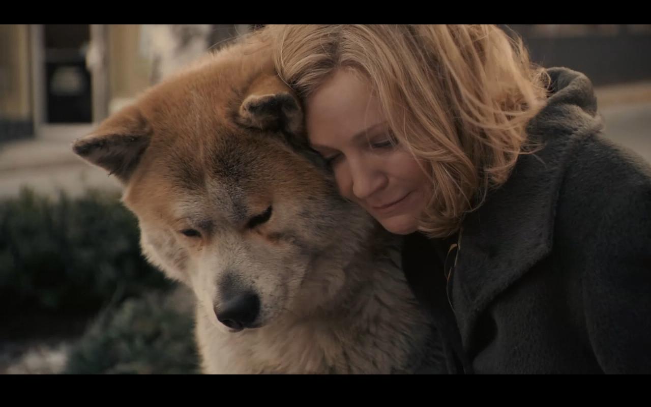 忠犬八公的故事 Hachi A Dog's Tale (2009) 预告片_哔哩哔哩 (゜-゜)つロ 干杯~-bilibili