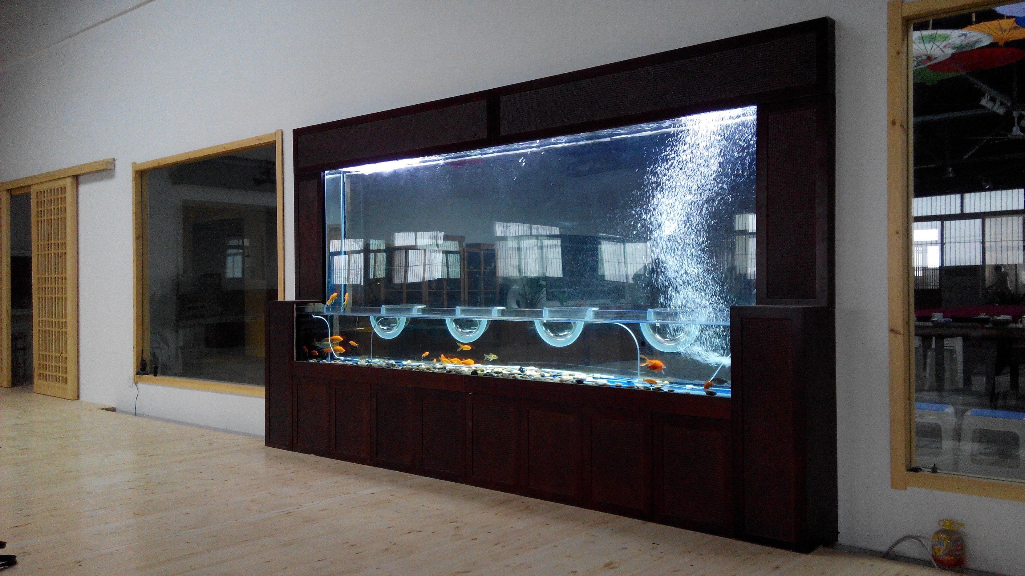 如何diy负压鱼缸? - 知乎