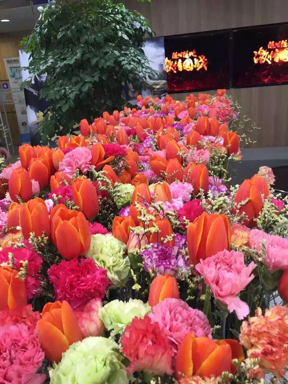 女生该继续坚持寻找游戏策划岗位的工作么? -