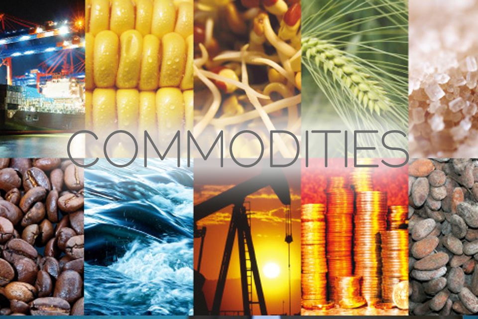 How Do Commodity Trading Companies Work