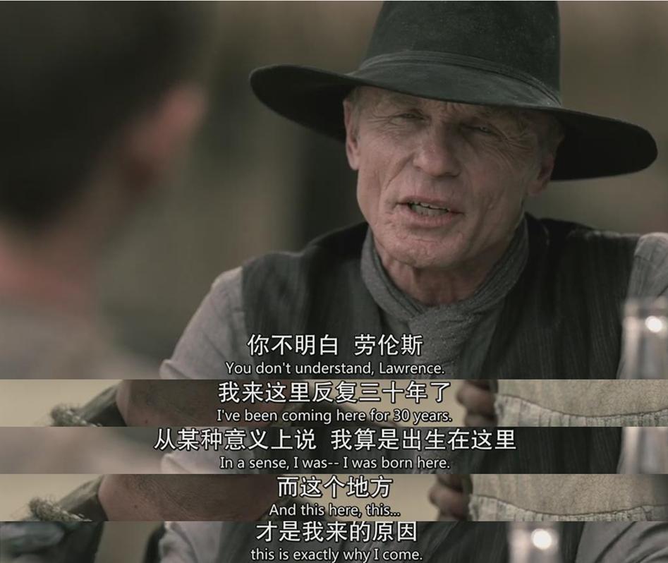 如何评价美剧《西部世界》(Westworld)第一季