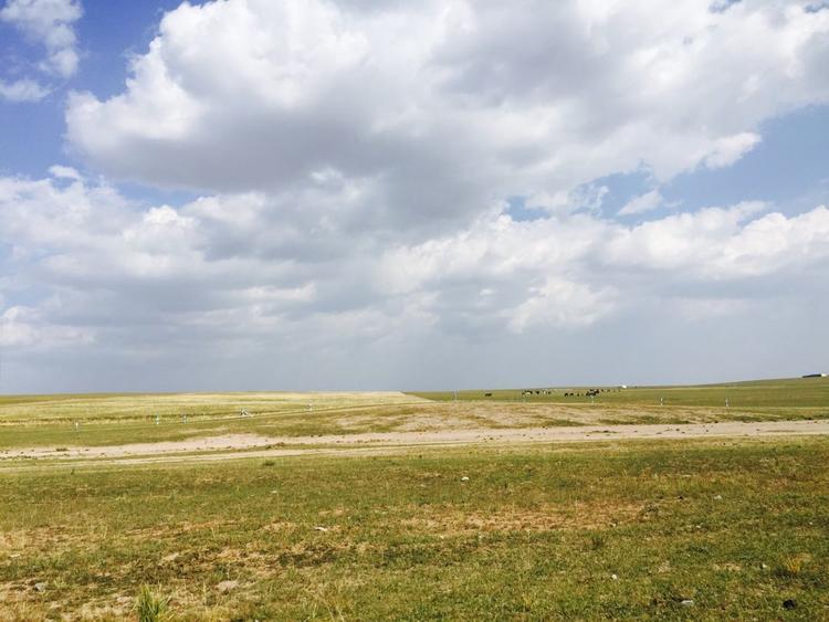 我在蒙古大草原上拍了婚纱照