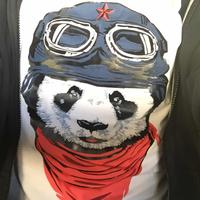 Zhihu profile picture for @precision