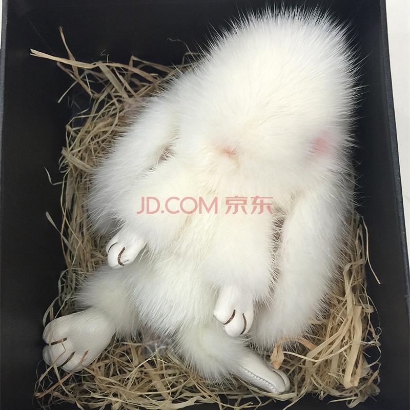 网上爆红的哥本哈根小兔子到底是什么来历? -