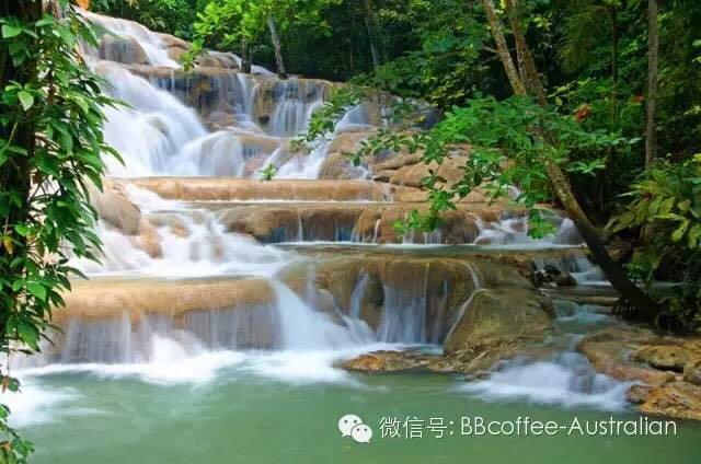 蓝山、摩卡、拿铁、卡布奇诺的区别？ 知乎 