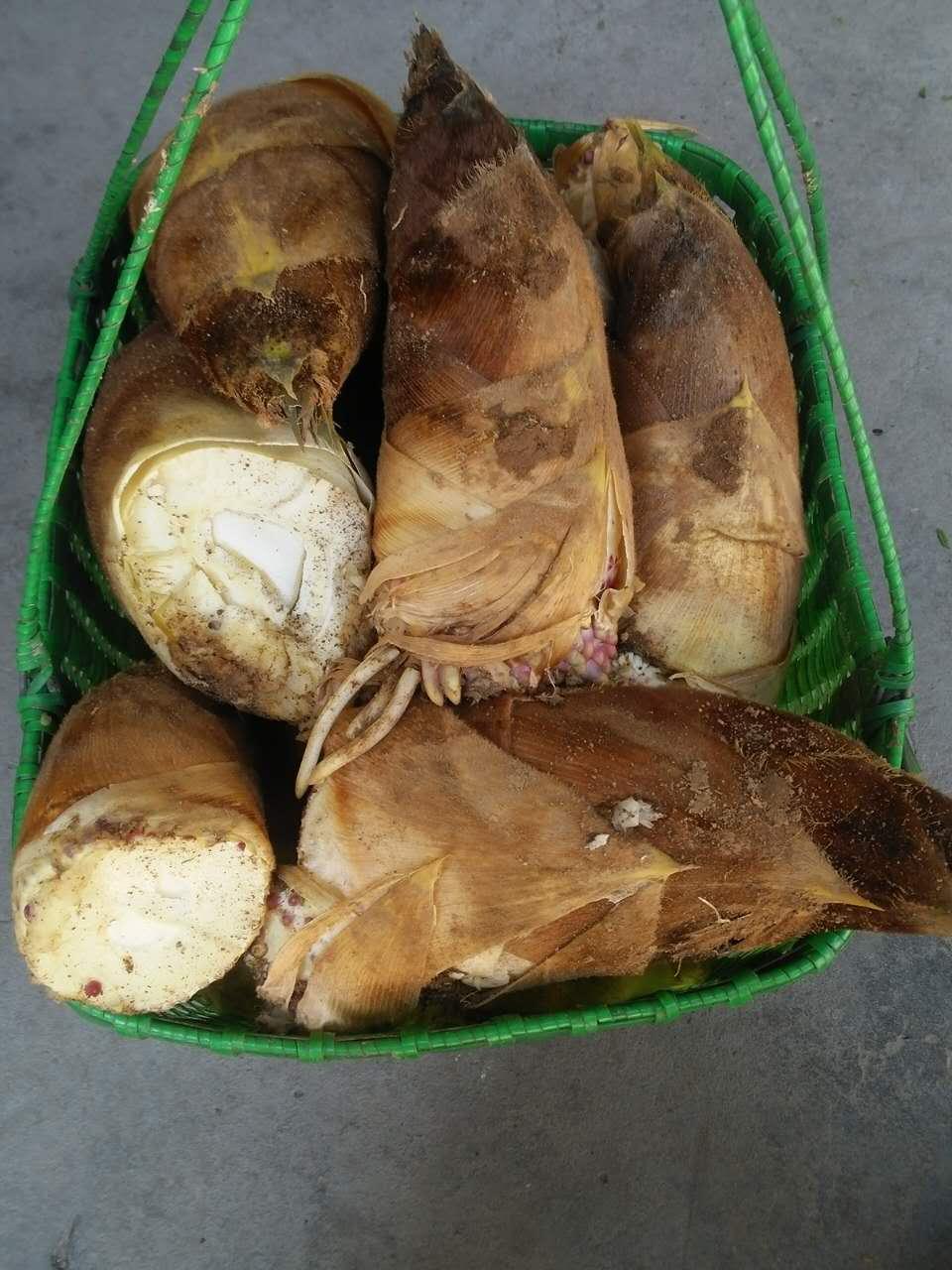 杭州哪里买龙井茶好? - 乐乐的回答 - 知乎