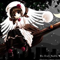 Zhihu profile picture for @angle