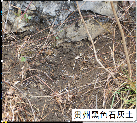 土壤是怎样形成的? - 知乎