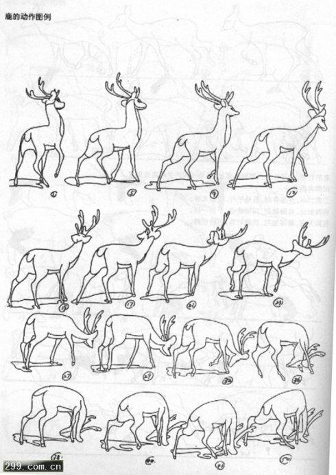 四脚朝地的动物如何调整四肢的摆动顺序已达到高效的行走和奔跑的?