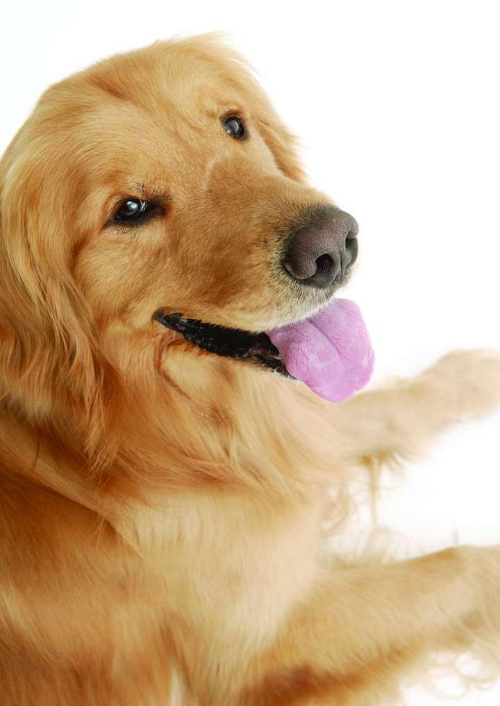 怎么从眼神看懂一个人的内心?