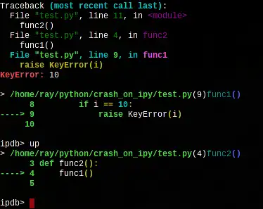 Python 程序如何高效地调试？