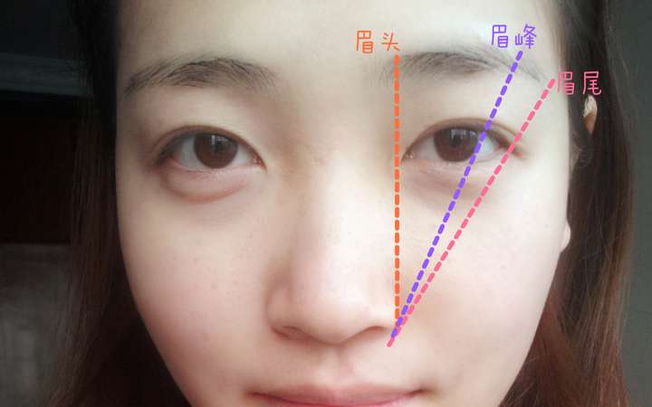 眉角和眉尾的位置图图片