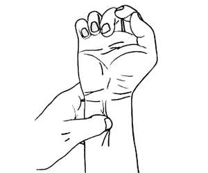 有哪些好的方法防止晕车?