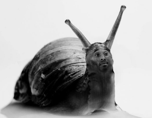 送他一只黝黑的蜗牛壳 [滑稽]