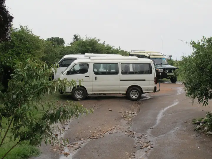 到非洲旅行带 8 岁小朋友同行有哪些需要注意的事项？