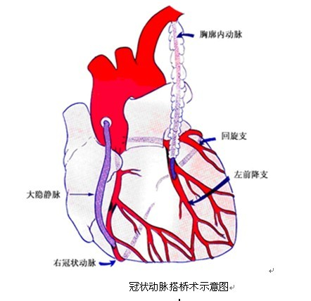 你不知道的日本大学 顺天堂大学 知乎