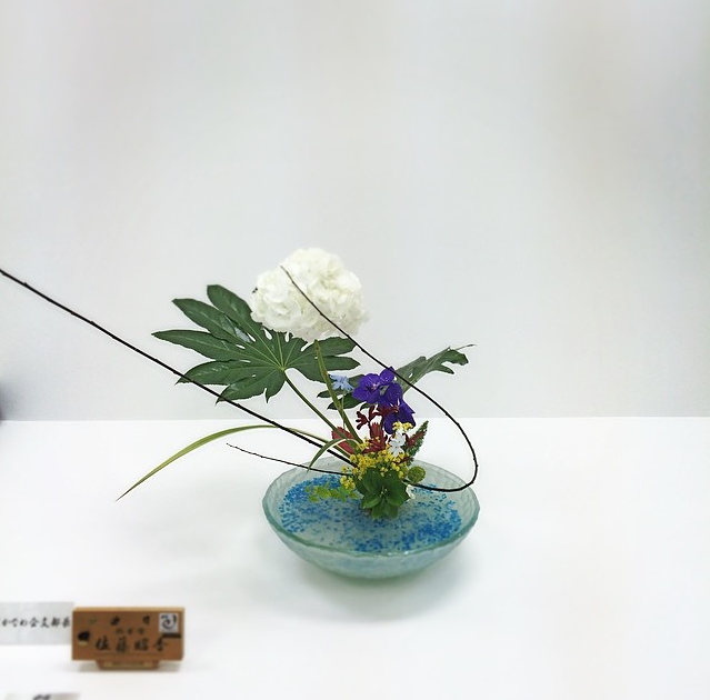 如何学习插花 知乎 如何学习插花 知乎