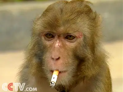 六小龄童演的孙悟空真的好吗好在哪里