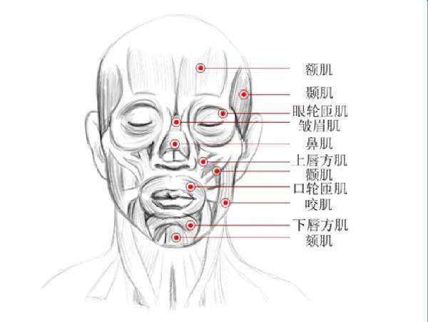 日本人,韓國人,中國人在長相特徵上有哪些不同?