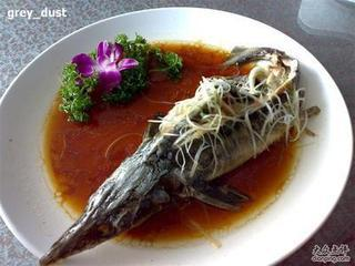 �л���   ������   �ڸ�����