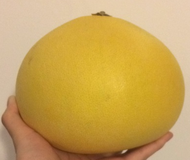 台州的玉环文旦柚在江浙沪皖一带非常有名 (相比其他柚子比较扁萌~)