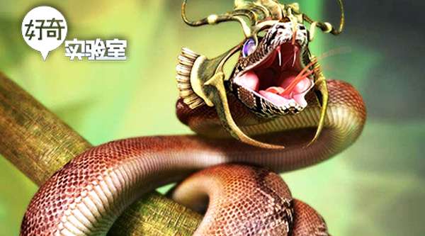 被砍掉的蛇头会咬人吗?