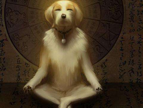 情人节到了单身狗如何免疫秀恩爱