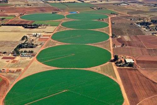 地面上圆形是什么?