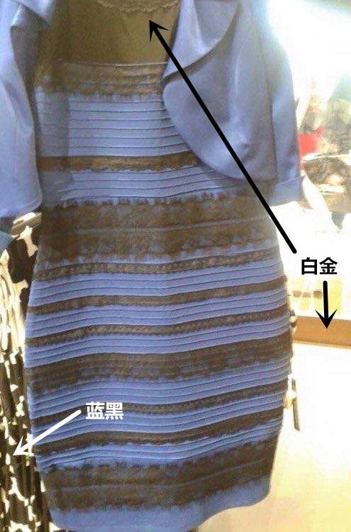 白金裙子怎样看到蓝黑图片