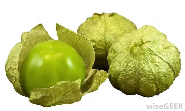 墨西哥菜的精髓是融合（Fusion） - 墨华网 (图3)