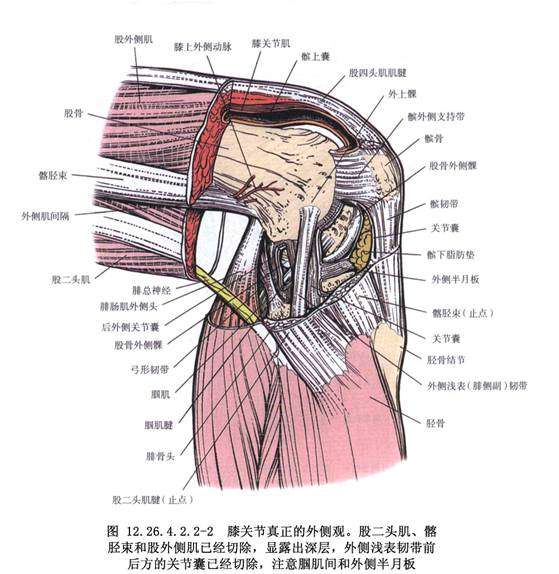 跑步后右膝盖内侧疼多久能康复