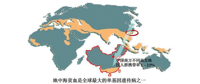和本地人结婚 小心下一代得地贫 知乎