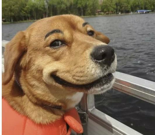 看我蔑视你的眼神