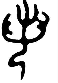 日语若者一词中若表示年轻的语源是什么