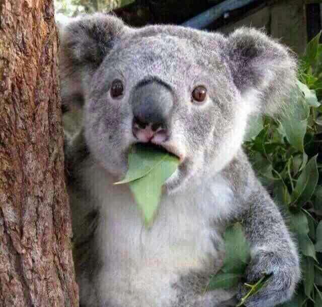 整个人都懵逼了是种怎样的体验?