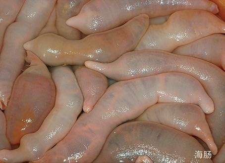 ������Ӧ�ò�ϡ�桫 ���� ��һ��ʼ��������