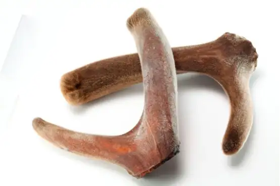 图片[1]-想要男人更强更持久？这些东西少不了-猫匿