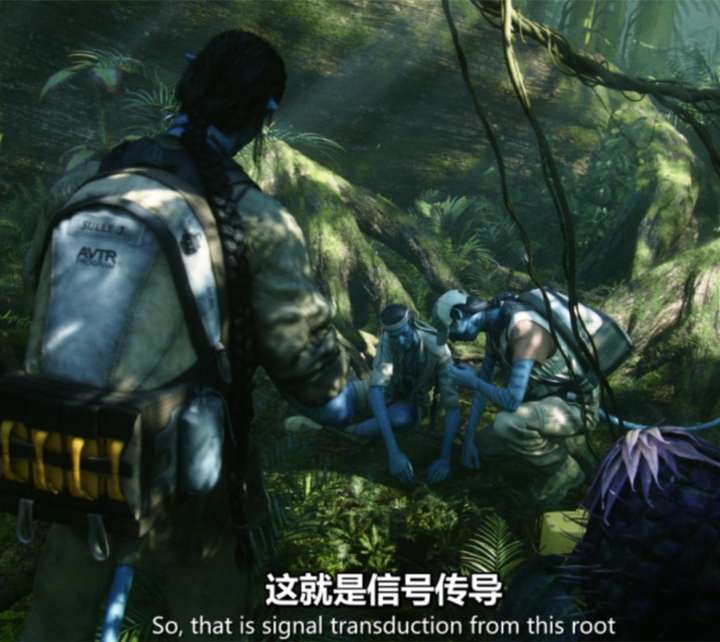 人工智能会有自我意识吗?-四川在下佩服科技有限公司