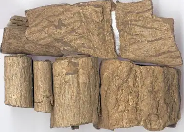 图片[16]-想要男人更强更持久？这些东西少不了-猫匿