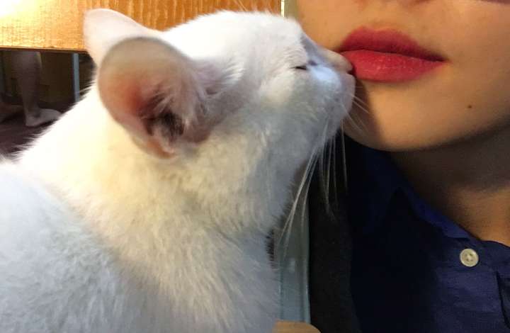 人和猫的感情可以深到什么程度?