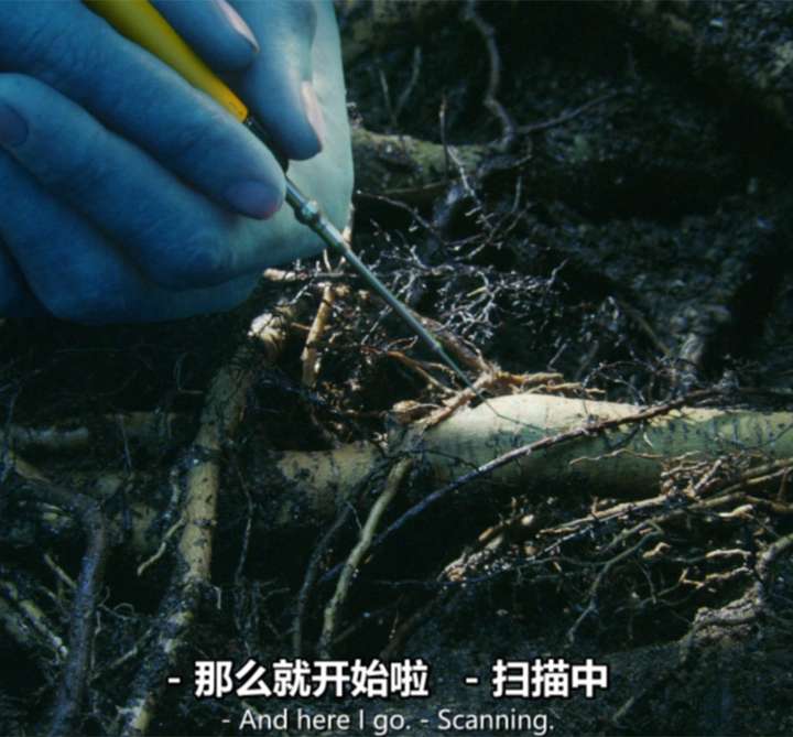 人工智能会有自我意识吗?-四川在下佩服科技有限公司