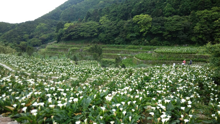 找一个台湾男友是怎样一种体验 知乎