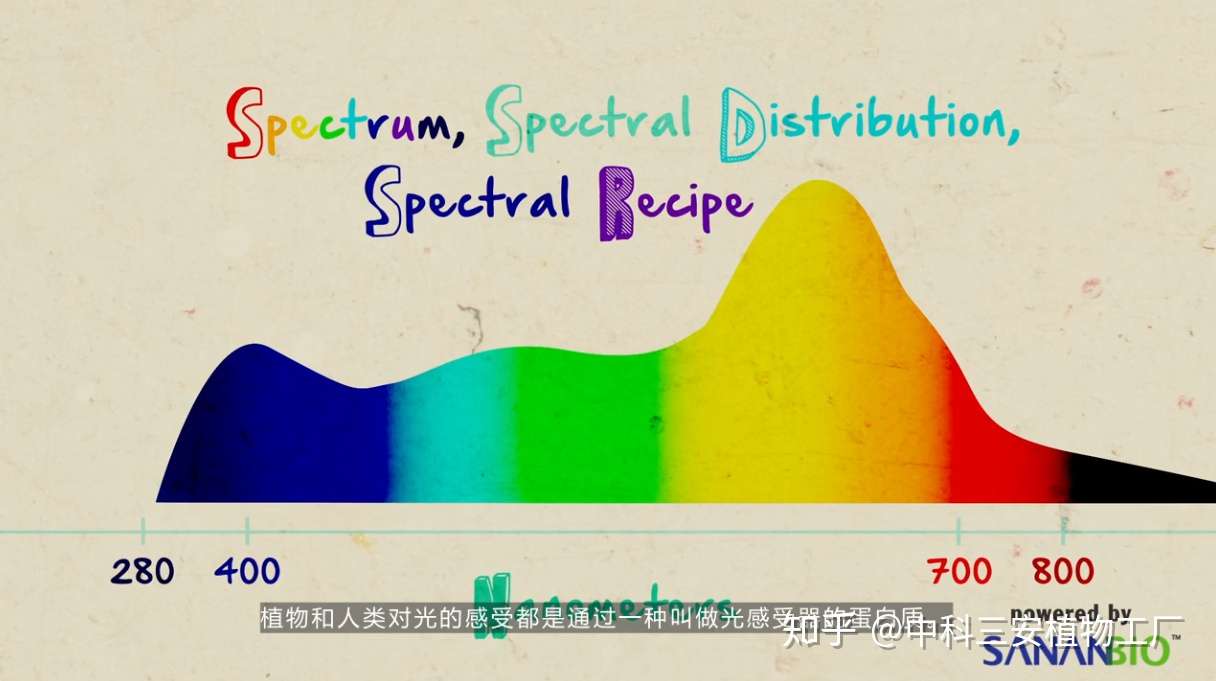 Ppf Ppfd 光效 光谱 这些植物照明光学术语你都知道吗 知乎