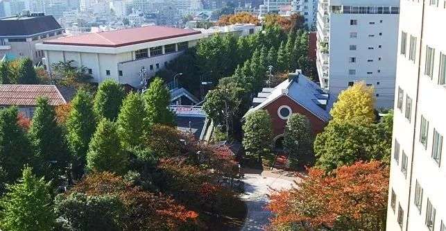 女子大学特辑 从国立名门到贵族女校 知乎 女子大学特辑 从国立名门到贵族女校 知乎