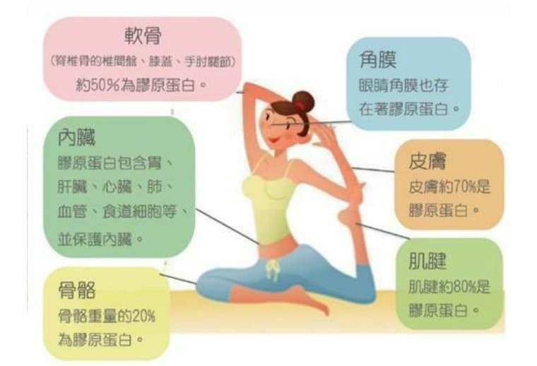 美颜仙丹 无异猪蹄 胶原蛋白 在激进与保守中艰难求生 知乎