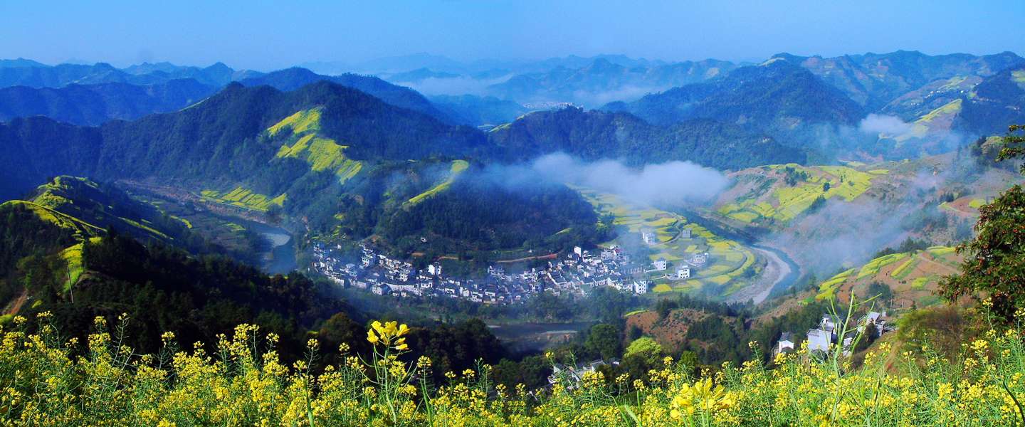 寻访谢裕大 知乎