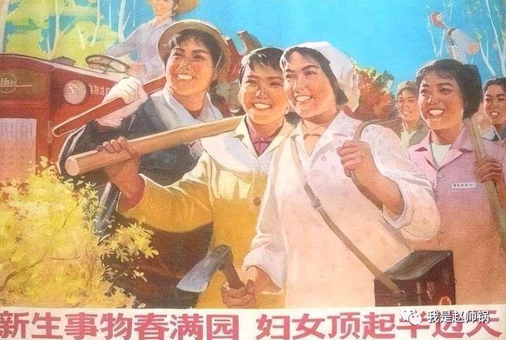 图片[6]-为什么说中国女拳的终极目标是东林党-博云求真