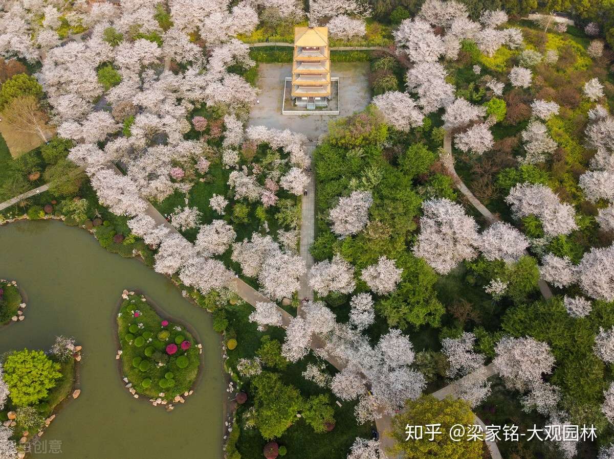 季相景观与盆景艺术 植物景观的类型有多丰富 知乎