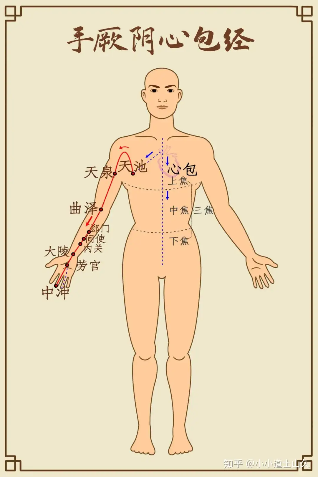 道医养生 三伏天 拍打手臂上的一条线为心脏减负 知乎
