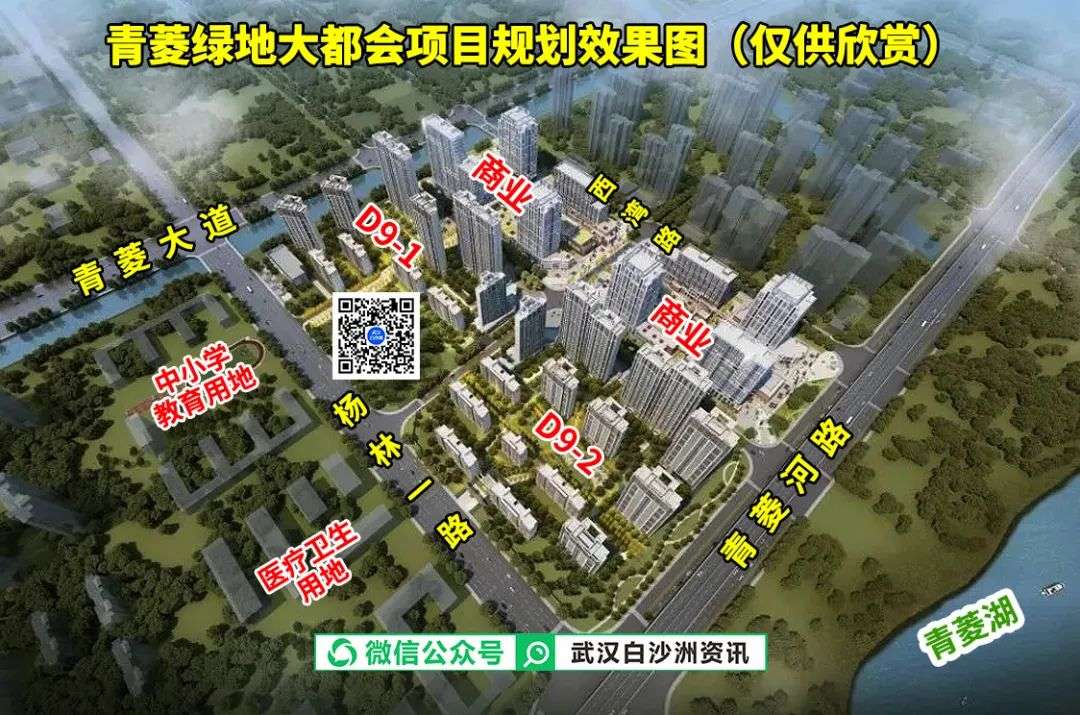 武汉白沙洲资讯 的想法: #白沙洲南大门# 白沙洲青菱西岸有规划医